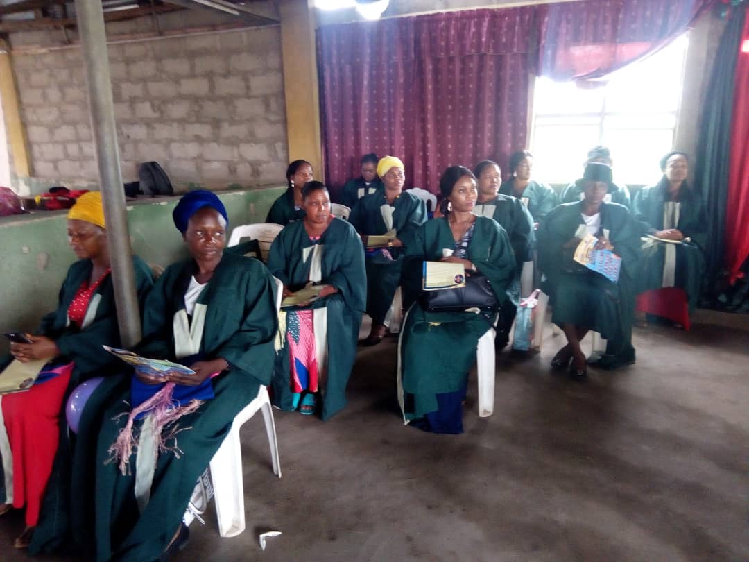 TBUGLEX Graduate